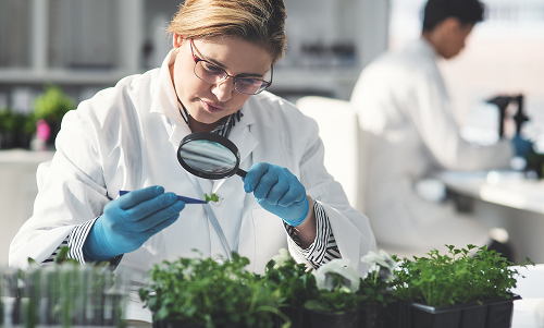 Blog What Is A Biomed Inspection And Why Do I Need One Img